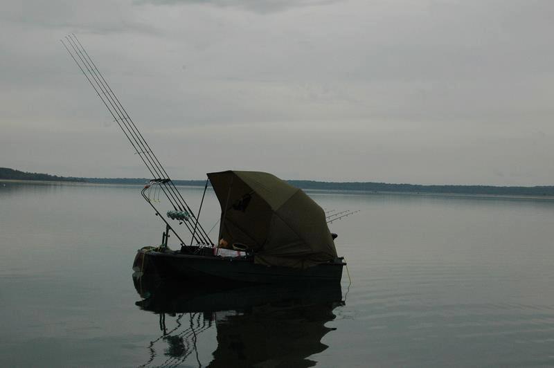 tot felu - 185179356697874419072342325476n.jpg